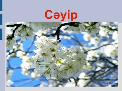 Трусики иіскейтін жалаңаш қыздар фото