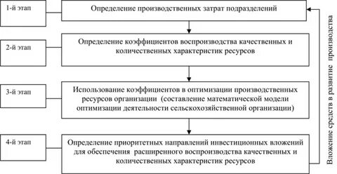 Экономическая эффективность производства и реализации продукции