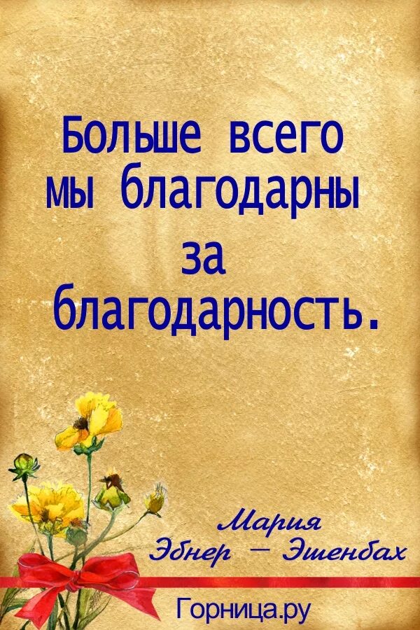 Цитаты про спасибо. Афоризмы про благодарность. благодарность цитаты. благодарю цитаты. высказывания о благодарности.
