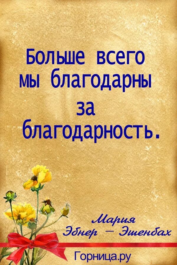 Привычка благодарности. Благодарность цитаты. Афоризмы про благодарность. Благодарю высказывания. Высказывания о благодарности.