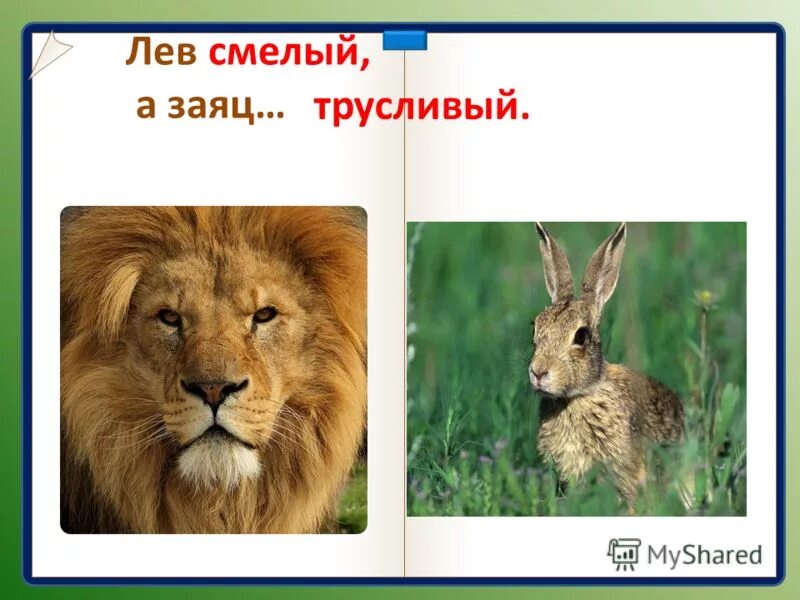 серая шубка у зайца. шубка зайца летом и зимой. антоним к слову заяц. погнаться за двумя зайцами фразеологизм. пересказ про зайца.