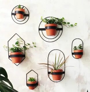 Plant shape