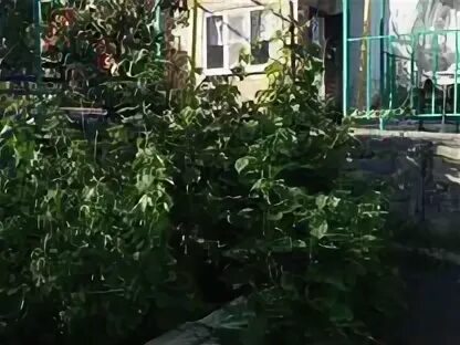 Авито аксай ростовская вакансии няни