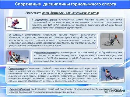 Виды дисциплин в спорте