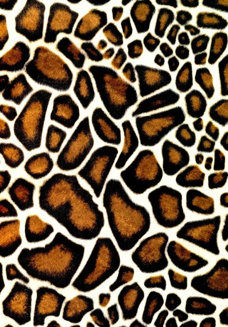 Леопард паттерн. Леопардовый фон. Леопардовая текстура. Пятна жирафа.