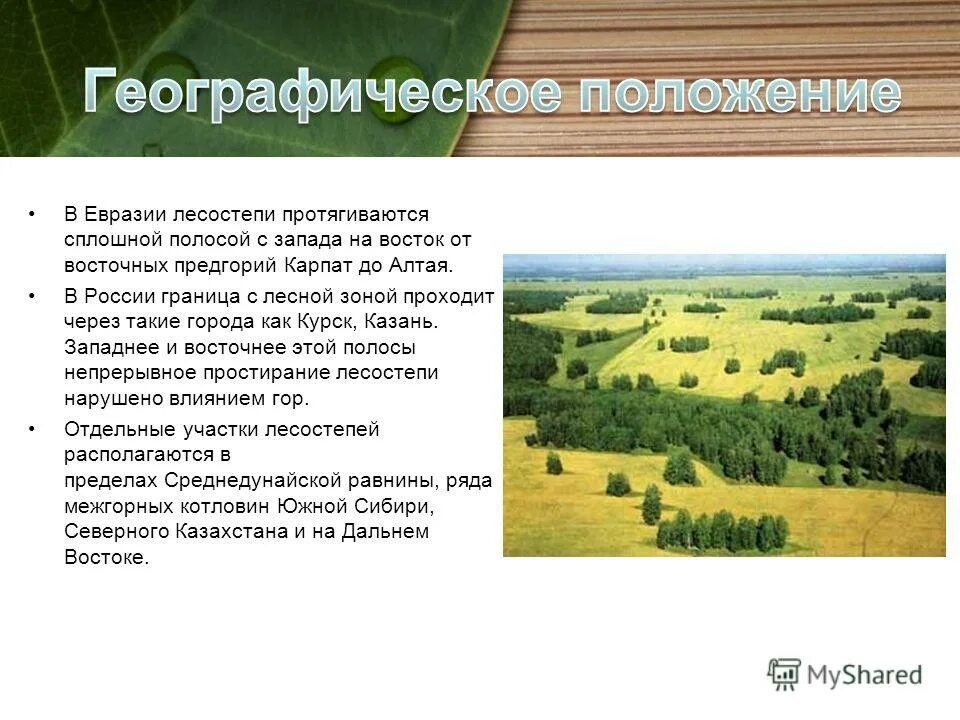 в лесостепях с запада на восток. географическое положение лесостепи на карте. географическое положение лесостепи и степи в евразии. зоны природы лесостепи,степи. в лесостепях с запада на восток.