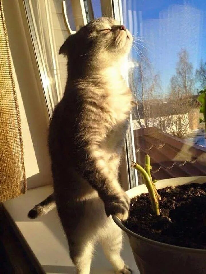 Наконец то утро