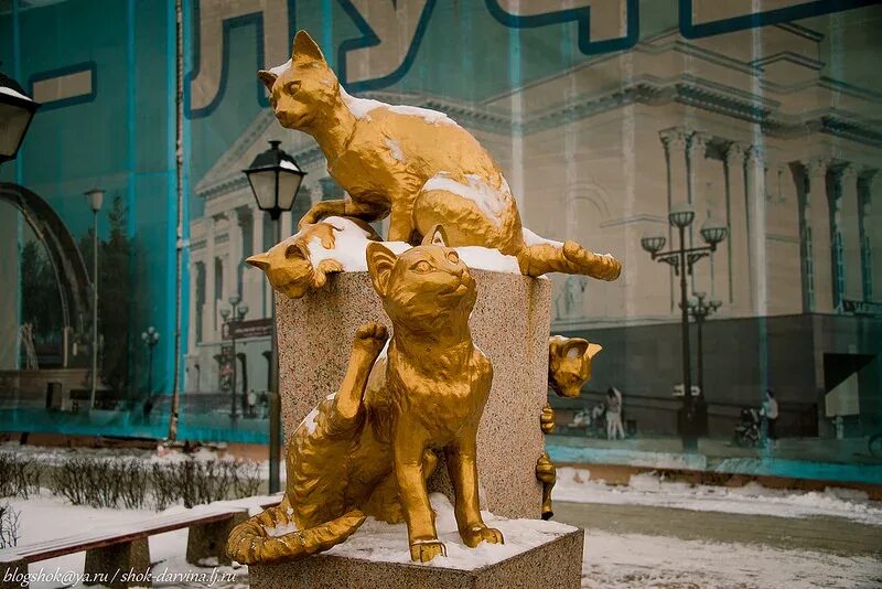 Спасенный эрмитаж. Памятник кошкам блокадного ленинграда тюмень. сквер сибирских кошек тюмень. памятник котам эрмитажа. памятник котам блокадного ленинграда в тюмени.