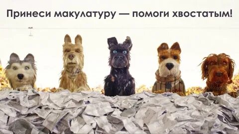 Остров собак 1