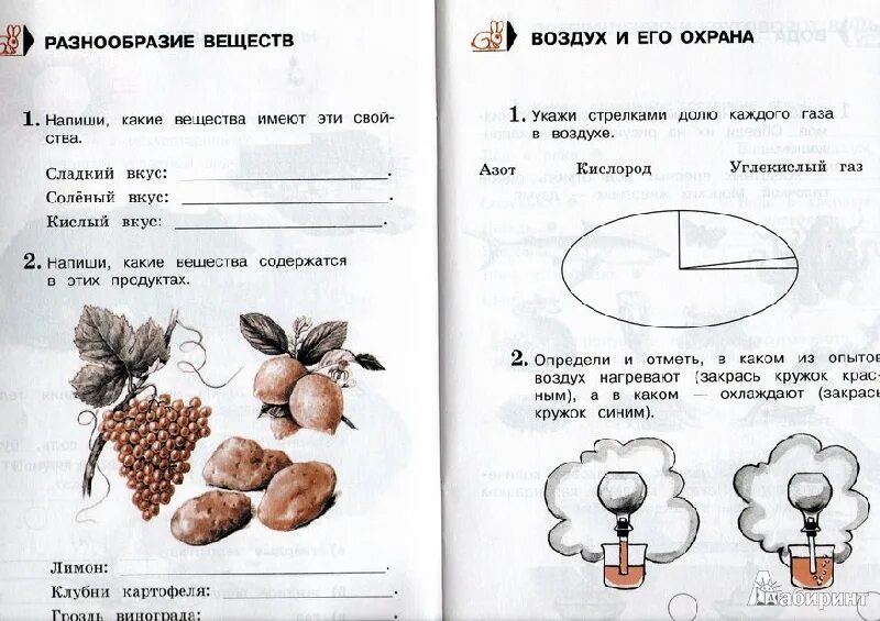 Общество 3 класс рабочий лист. Рабочие листы для начальной школы по окружающему миру. Разнообразие веществ рабочая тетрадь. Окружающий мир разнообразие веществ Плешаков. Карточки по окружающему миру 3 кл.