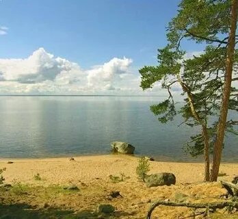 Девяткино лемболово