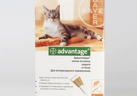 Как применять капли для кошек
