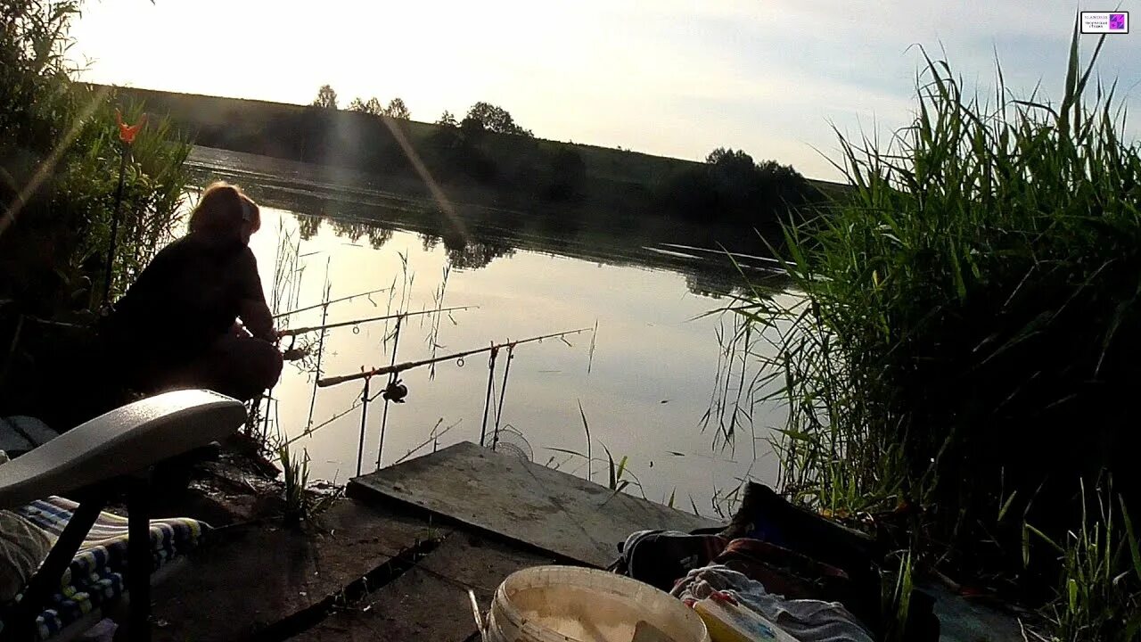 Поеду на пруд. Поеду на пруд. Деревня берендеевка в костроме. Поеду на пруд. Семья на рыбалке.