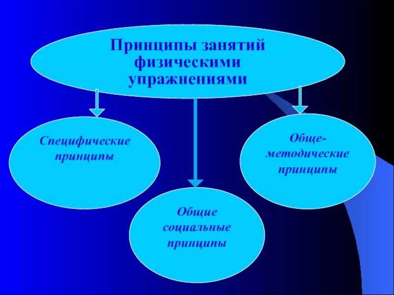 Формы построения занятий физическими. Принципы занятий физическими упражнениями. принципы построения занятий физическими упражнениями. принцип построения физических занятий. специфические принципы занятий физическими упражнениями.