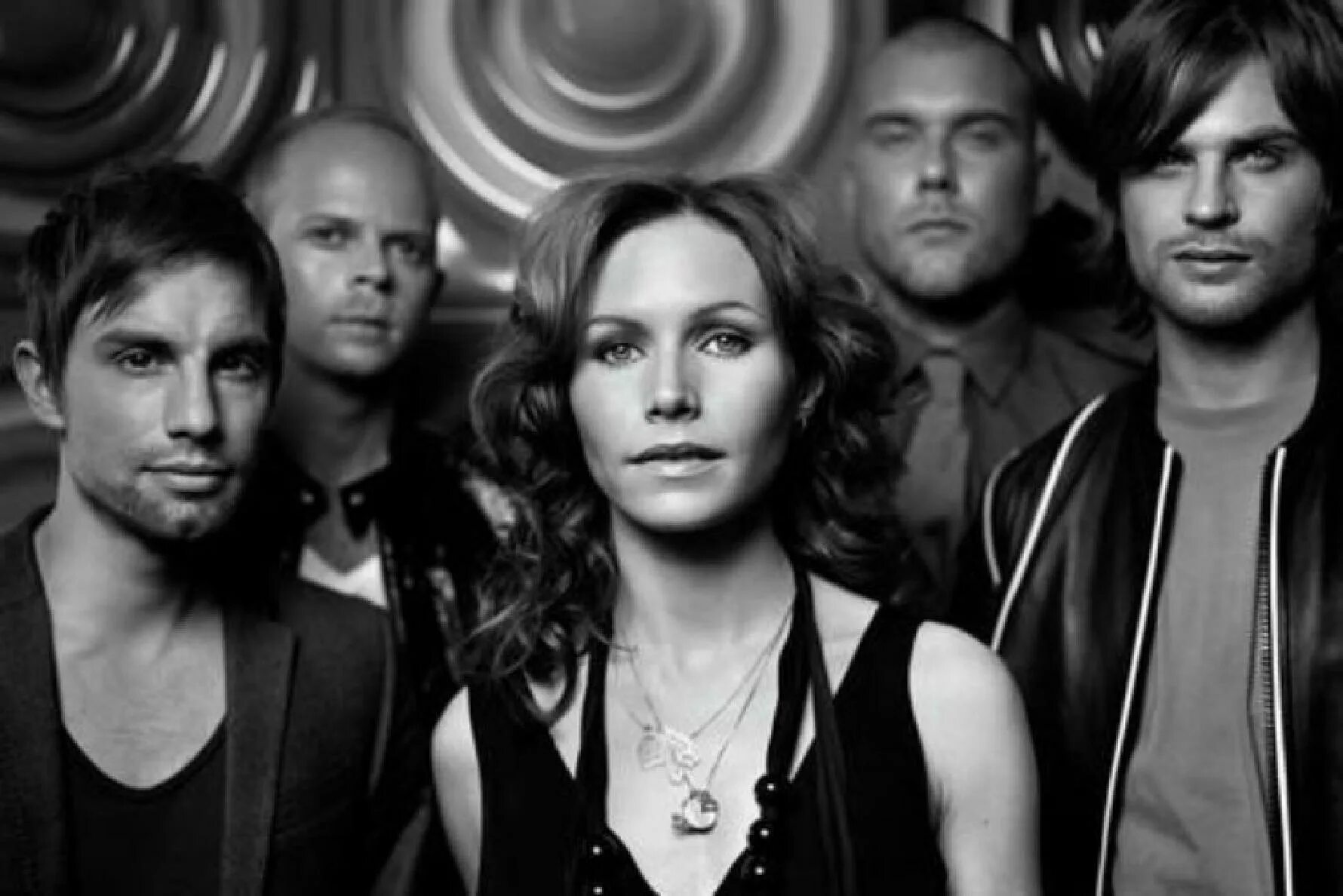 Группа the cardigans. The cardigans фото. the cardigans группа состав. the cardigans 2025.