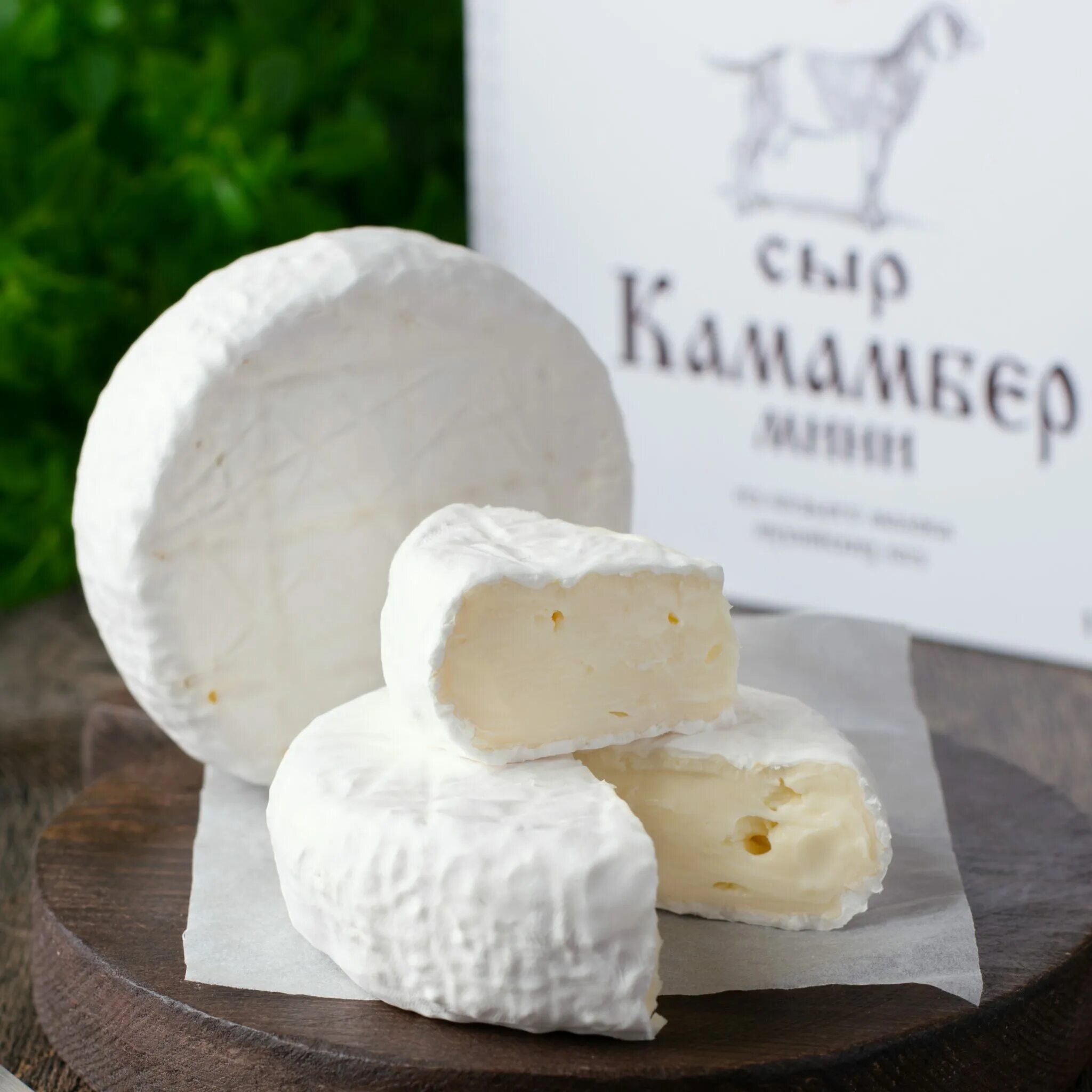 сыр камамбер сернурский. козий сыр с белой плесенью. камамбер из козьего молока. сыроделы ссср. камамбер из козьего молока.