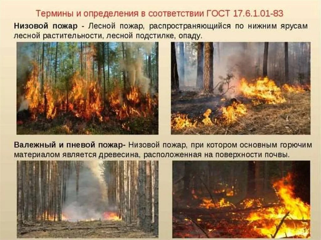 Лесной пожар задачи