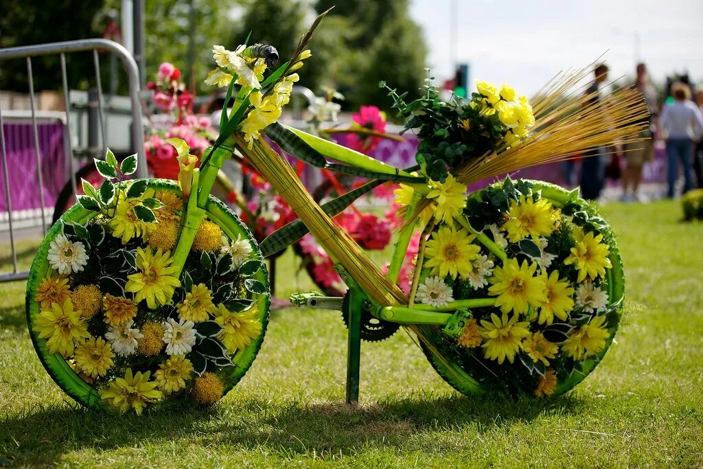 Представить композицию. Цветочная композиция в велосипеде. Цветочная композиция из старого велосипеда. Композиции из цветов живых в саду. Композиции из живых цветов в велосипеде.