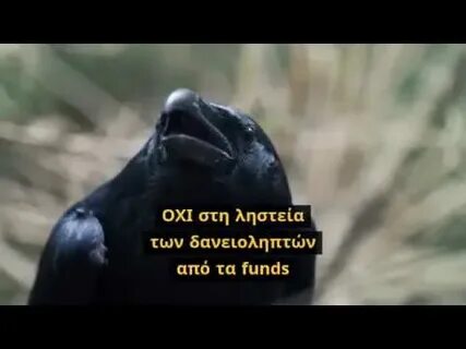 О чем кричат вороны