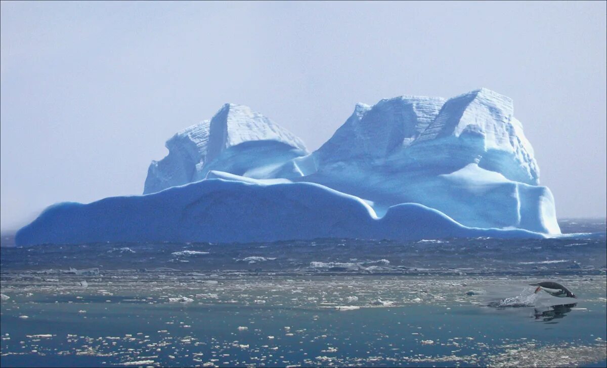 Материк антарктида был открыт экспедицией. Антарктида ледник Беллинсгаузена. Антарктида (материк) айсберги. Остров Южная Джорджия Антарктида. Айсберг Джордж Вашингтон.