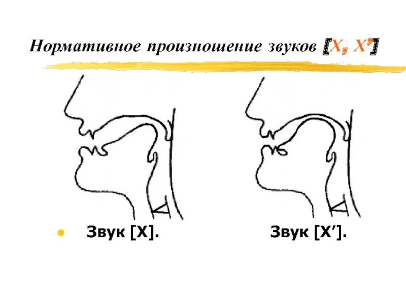 Произношение звука c. Нормативное произношение звуков. Постановка звука х. Способы постановки звука х. Артикуляция звука х.