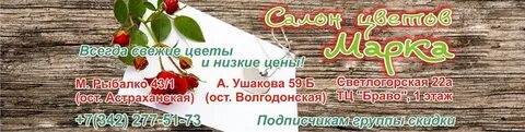 Цветы закамск