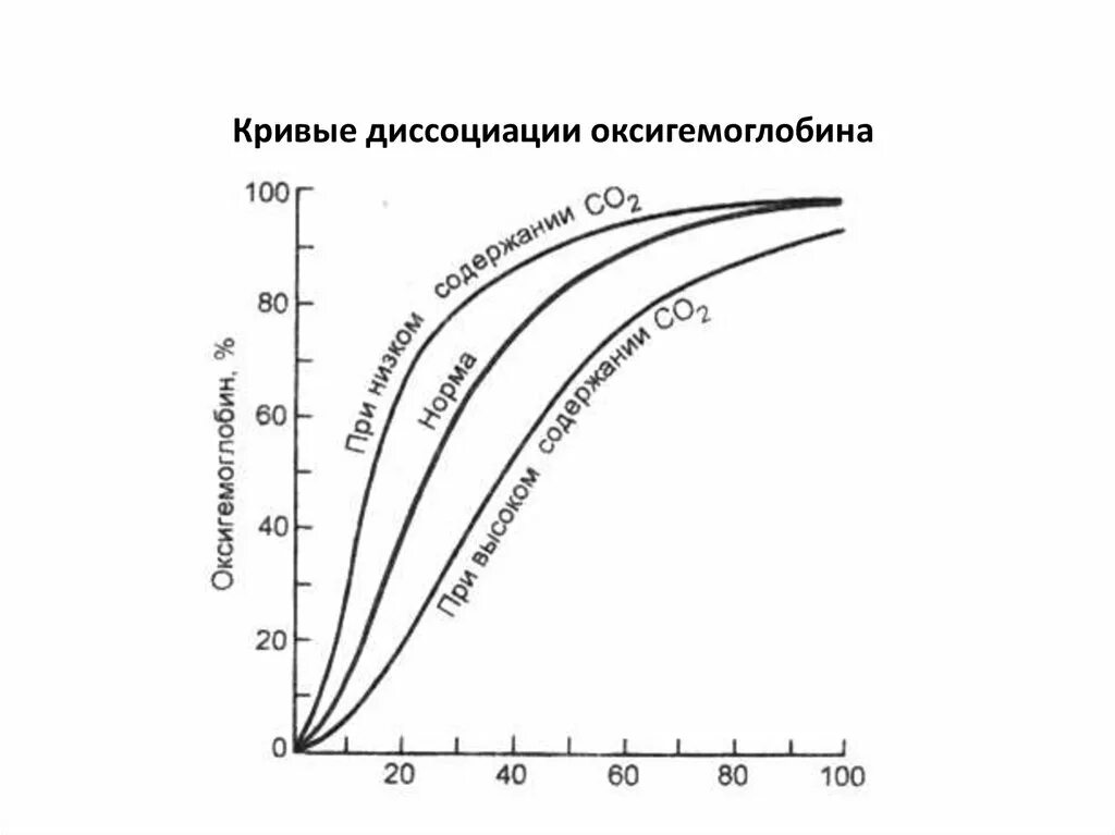 10. Кривая диссоциации оксигемоглобина.. Кривая диссоциации оксигемоглобина p50. Кривая диссоциации оксигемоглобина при ацидозе. Кривая диссоциации оксигемоглобина при гипоксии.