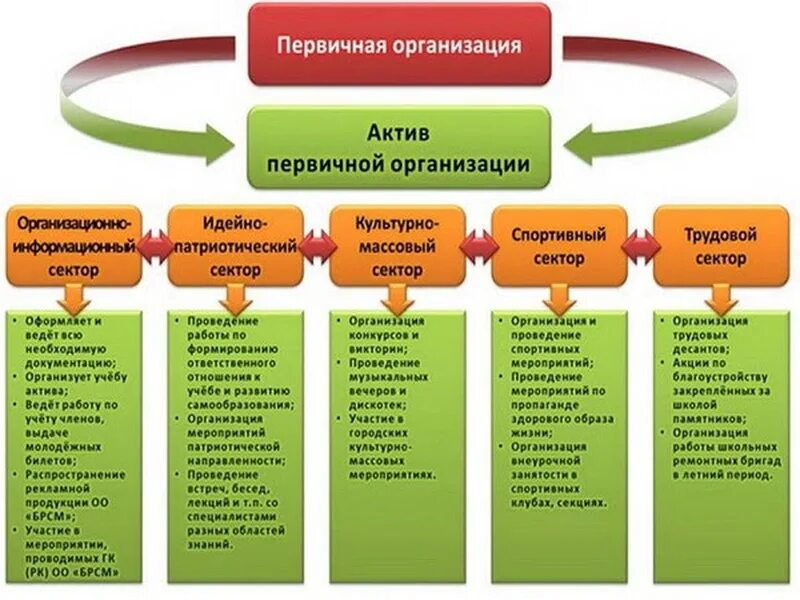 Положение первичной организации. БРСМ стенд. Направления деятельности БРСМ. Вступление в БРСМ В школе. БРСМ структура в школе.