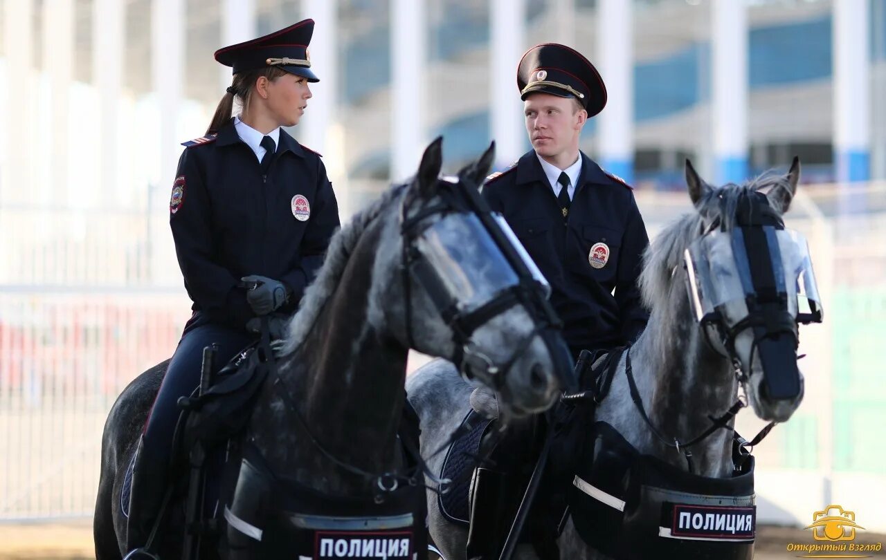 Федерация коне. Конная полиция Британия. Конный полицейский. Конная полиция России. Конная полиция в Москве.