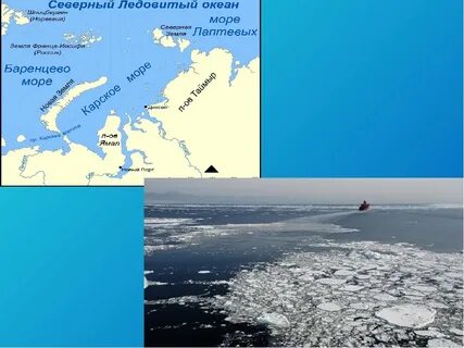 Карское море белое море баренцево море