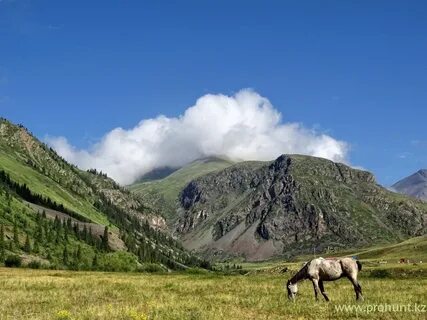 Семиречье