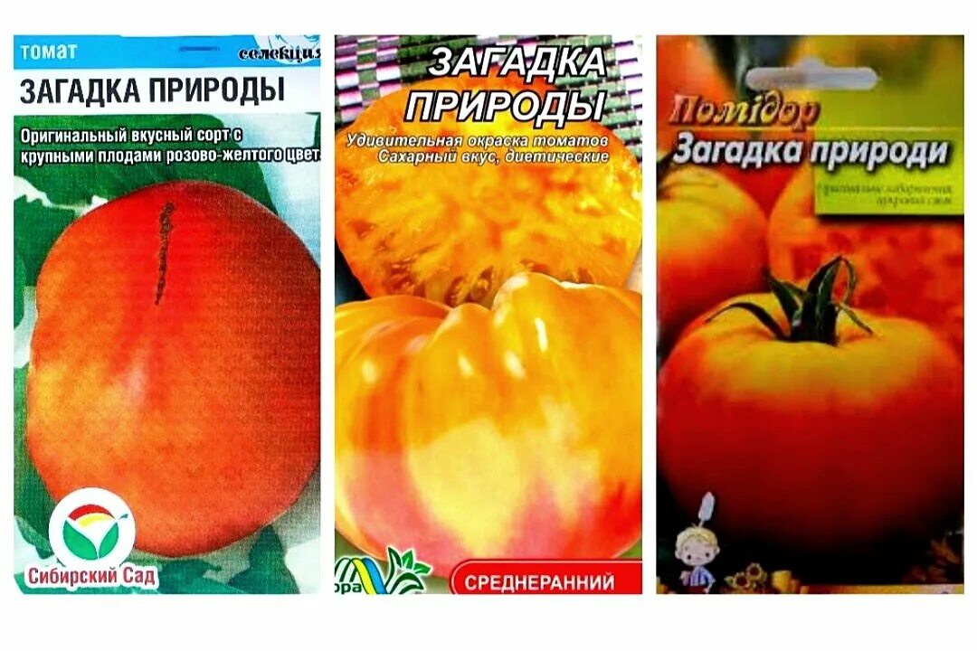Томат Загадка природы 20шт СС - купить в интернет-магазине.
