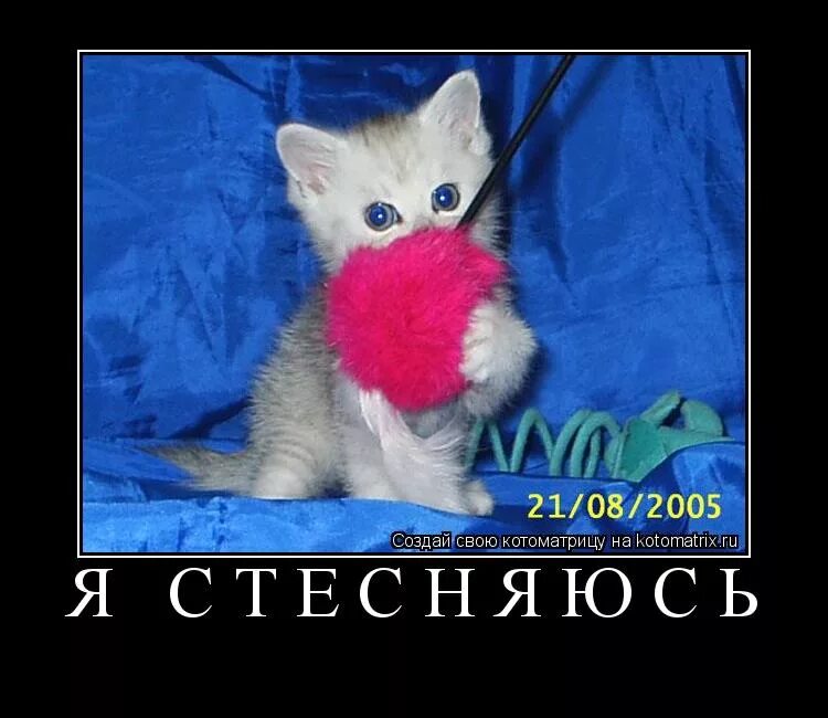 Стесняюсь любимой девушки. Ой я стесняюсь. открытки я стесняюсь прикольные. ой я стесняюсь картинки.