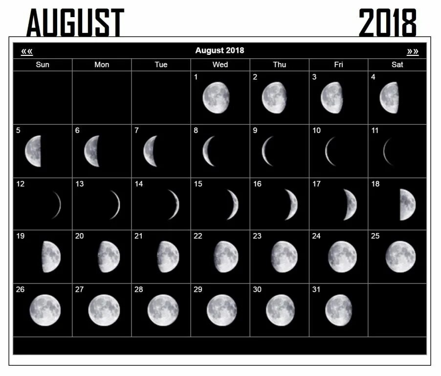 Луна в августе. August 2007 Moon phases Moon Calendar, Moon phase Calendar,. Луна календарь в 2009. Фазы Луны в августе 2007.