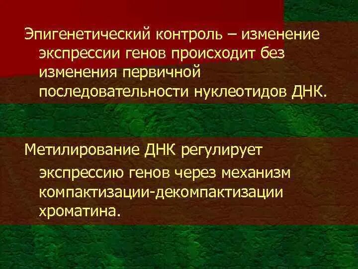 Эпигенетические факторы. Механизмы эпигенетического регулирования экспрессии генов. Эпигенетическая изменчивость. Эпигенетический это. Изменения происходящие в генах это