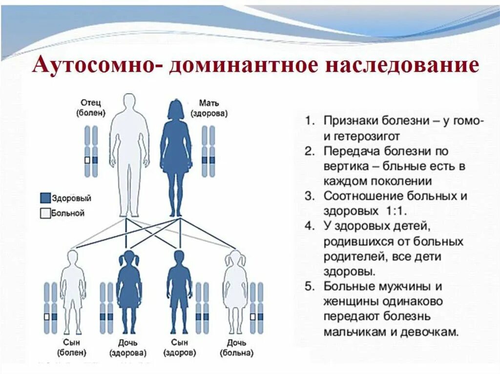 Болезни аутосомно доминантного наследования. Аутосомно-доминантный Тип наследования схема. Аутосомно рецессивный Тип болезни. Аутосомно-доминантный и аутосомно-рецессивный типы.