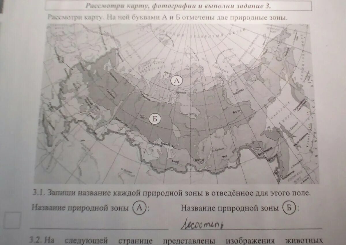 Природные зоны россии впр ответы. Запиши название каждой природной зоны. Название природной зоны буквы а. Природной зоны в отведённое для этого поле.названия. Название природных зоны ответ.