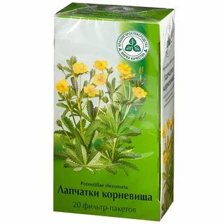 Лапчатки корневища