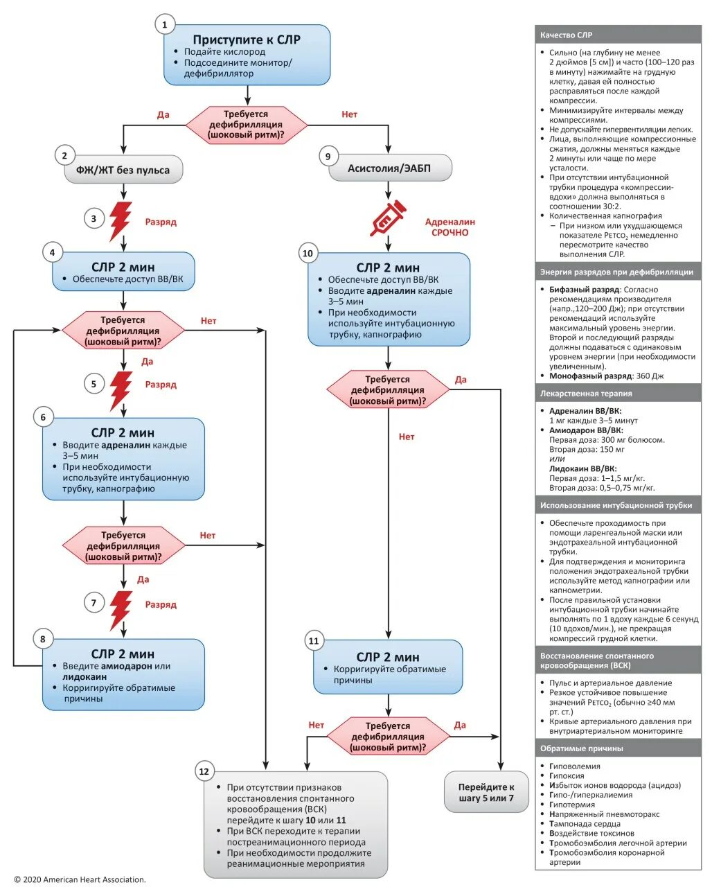 СЛР алгоритм. Расширенная СЛР алгоритм. Алгоритм реанимации взрослых. Алгоритм при остановке сердца. Алгоритмы помощи при остановке сердца