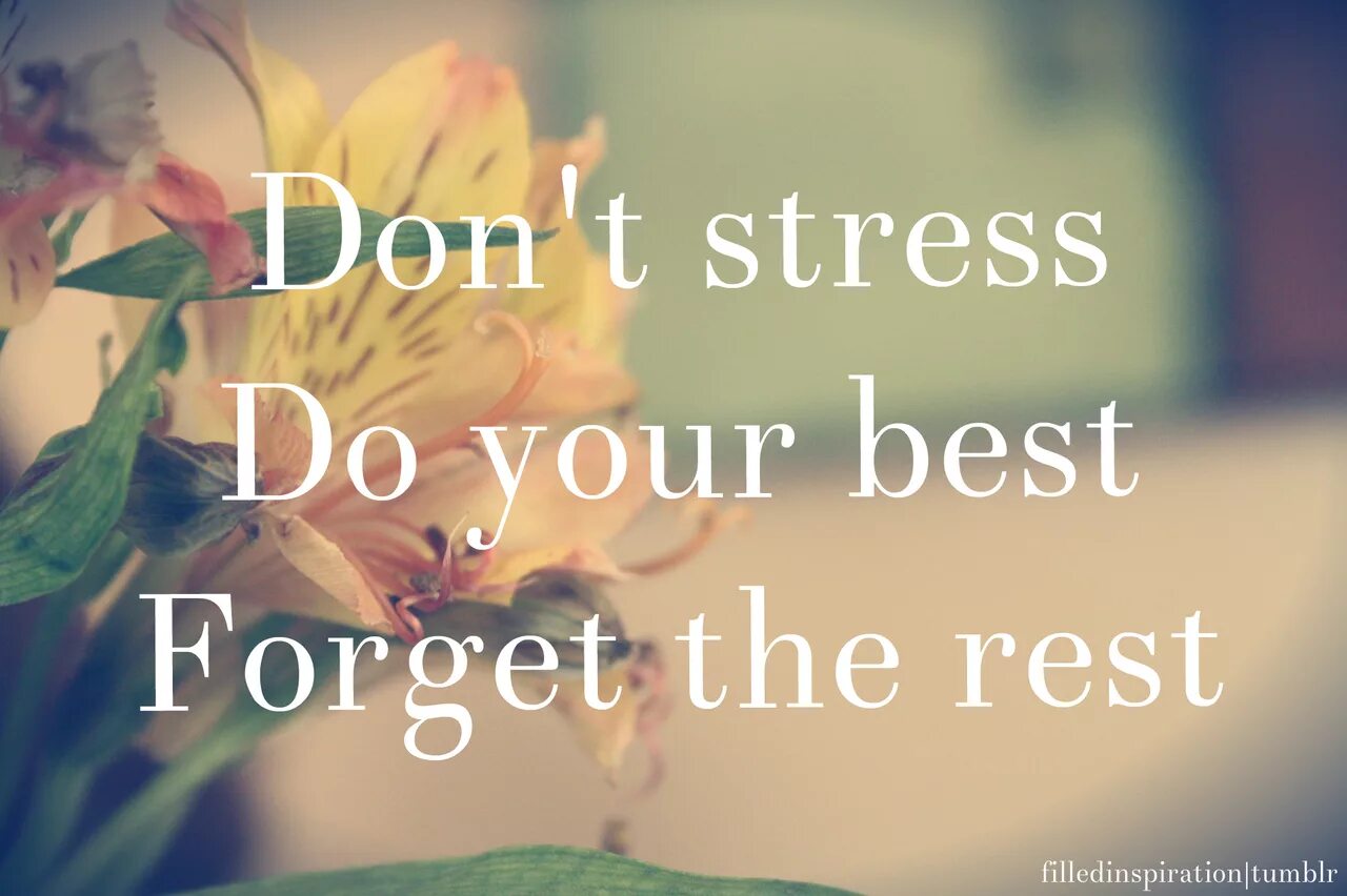 Do your f. Блокнот dont stress do your best. Do your best forget the rest. Your the best. Quotes about stress.