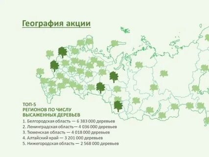 Карта запрета леса 2024