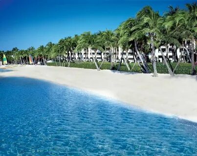 Don t beach