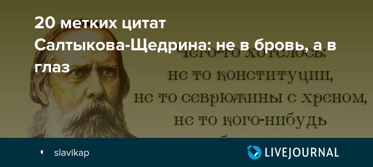 После тургенева достоевского толстого салтыкова щедрина. Салтыков Щедрин высказывания. Салтыков Щедрин афоризмы. Цитаты Щедрина. Цитаты Салтыкова-Щедрина.