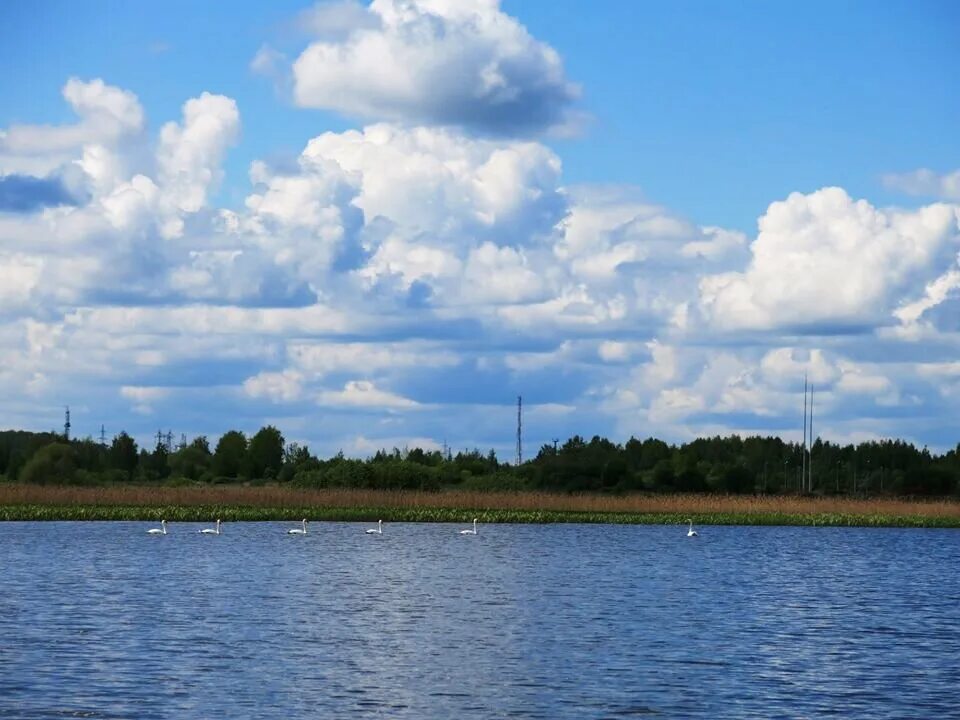 Водоемы костромы