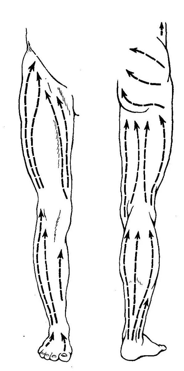 Массажные линии тела лимфа. Массаж гуаша массажные линии тела. Массаж спины направление движения. Направление движение массажа. Направление движений при массаже.