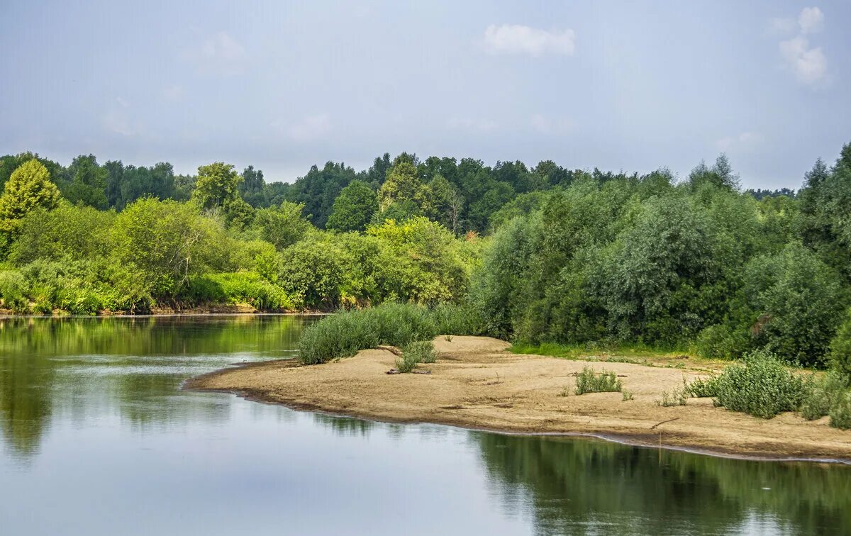 патакино клязьма. река клязьма в слободке мстера. берег реки клязьмы. река клязьма в ивановской области. пейзажи с соколом.