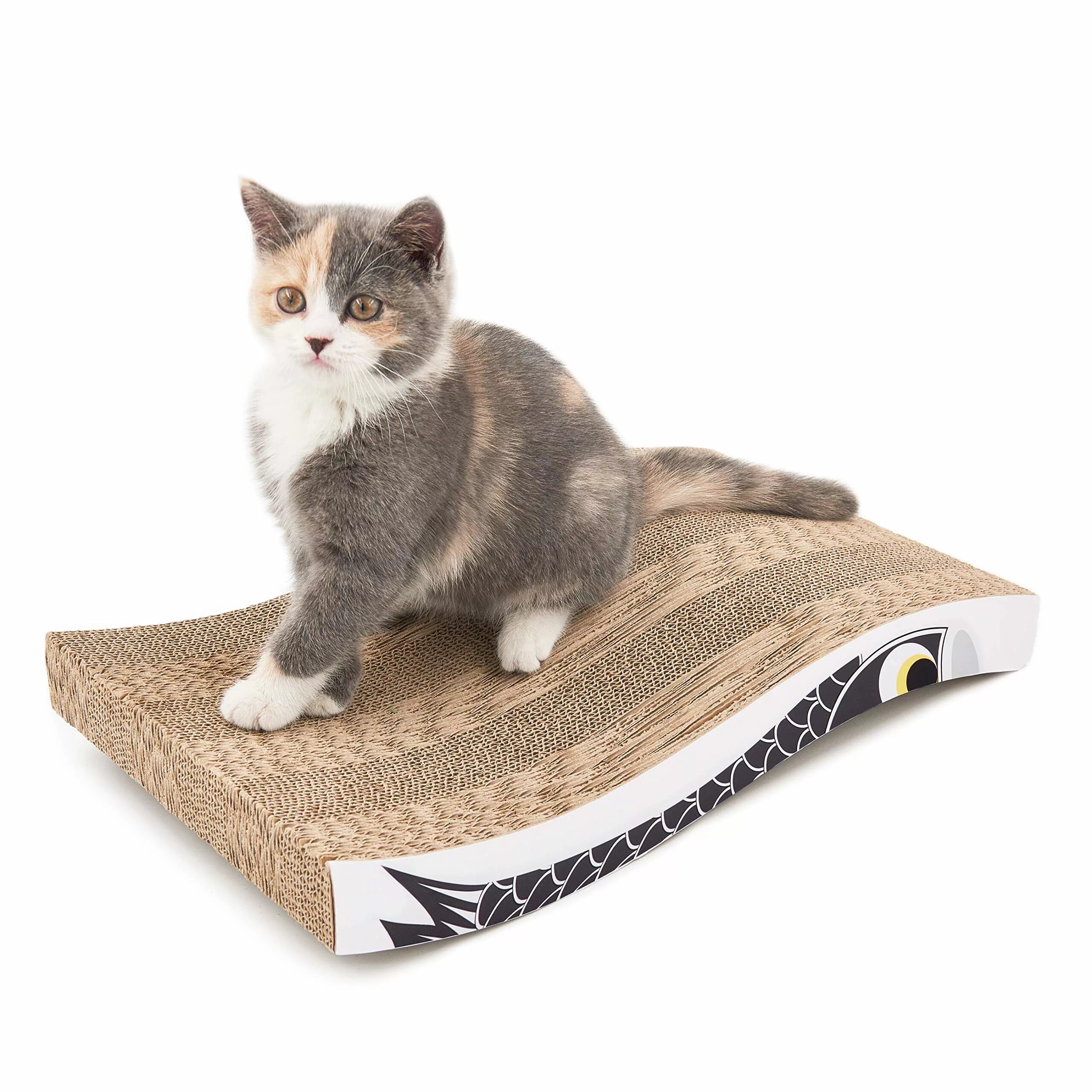 Cat scratcher. Cat Scratcher Corrugated paper. Back Scratcher. Curve Cat. Magic Organ Cat scratching Board.