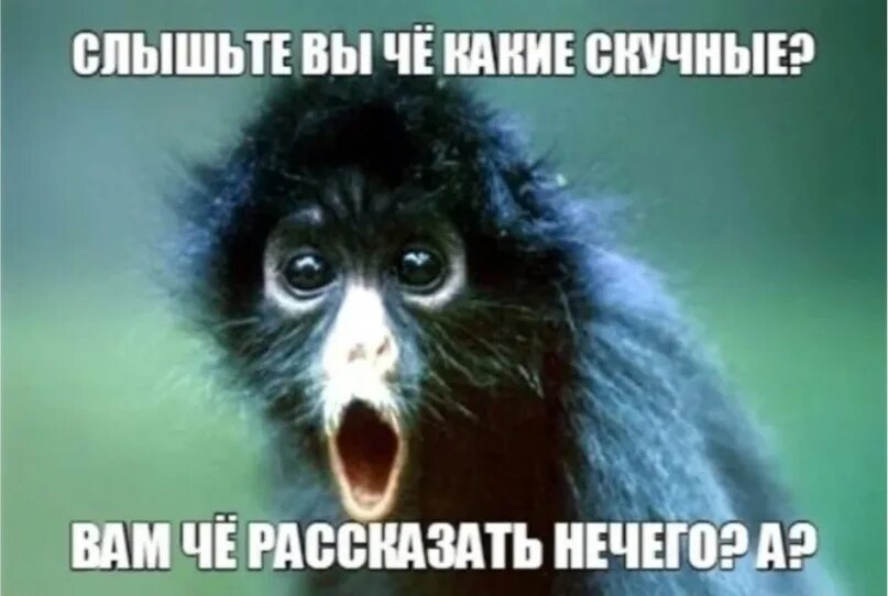 Включи тихо давай. Тишина в группе прикол. что то в группе тишина. скучно в группе. что то тихо в группе картинки.