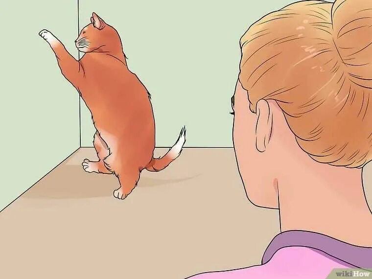 Как проявляется течка у кошки. Течка кошачья кошачья. кошка успокаивает.