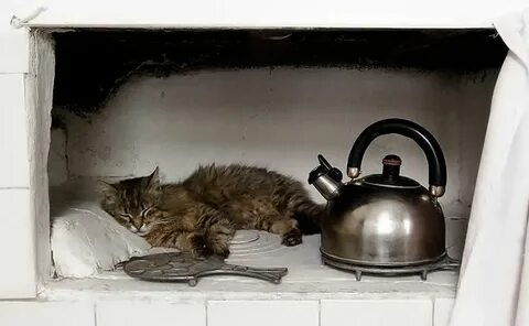 Спящий кот на печке